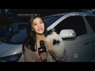 Naysilla Mirdad tentang Anjing perliharaannya
