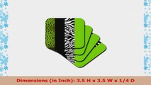 3dRose cst354402 Lime Green Black and White Animal Print Leopard and Zebra Soft Coasters a333ab1e