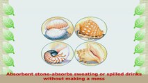 CoasterStone AS820 Absorbent Coasters 414Inch Shells Set of 4 d5161676