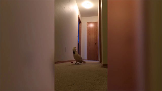 Quand tu rentres du boulots et que tu racontes ta journée pourrie