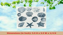 3dRose cst1558302 Blue Sea Shells Nautical Beach Theme Ocean Art Soft Coasters Set of 8 f3e6c93d