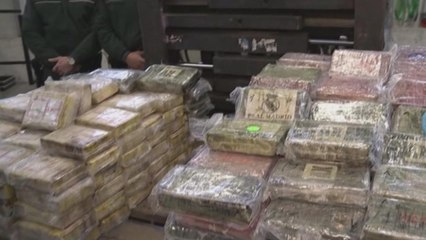 ألمانيا تضع يدها على 720 كلغ من الكوكايين المهرَّب من جزر الكارييب إلى هولندا