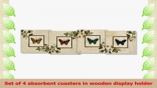 CounterArt Butterfly Study Design Absorbent Coasters in Wooden Holder Set of 4 7b702b78