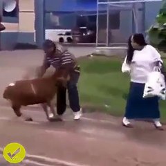 OMG - Haha, so funny