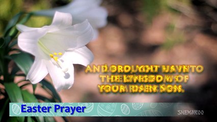 Easter Prayer Evening _ Evening Prayer Catholic _ Catholic Prayers _ Easter Prayers _ Eternal Grace-VOxDF6vklIk