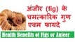 अंजीर के चमत्कारी गुण एवम फायदे | Best Health Benefits of Figs (Anjeer)