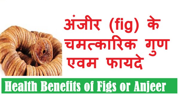 अंजीर के चमत्कारी गुण एवम फायदे | Best Health Benefits of Figs (Anjeer)