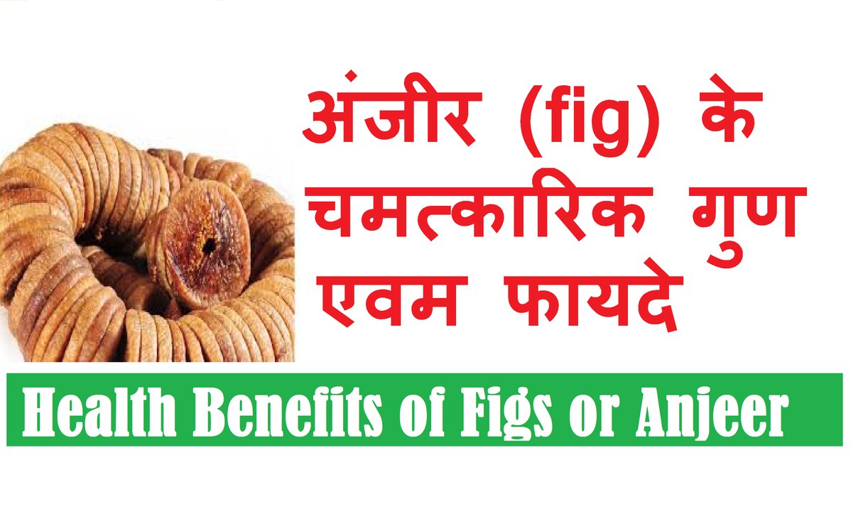 अंजीर के चमत्कारी गुण एवम फायदे | Best Health Benefits of Figs (Anjeer)