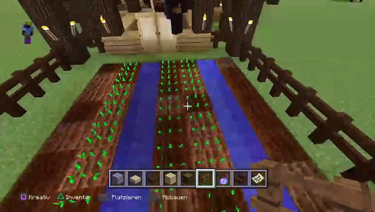Gg (6)