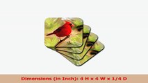 3dRose cst44424 Red Cardinal Ceramic Tile Coasters Set of 8 6e583eff