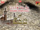 Pyasy Syed a.s -Porbai Language- | Noha 2012 | Syed Raza Abbas Zaidi