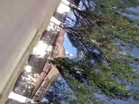 Женщины Краматорска прогнали террористов со своей улицы