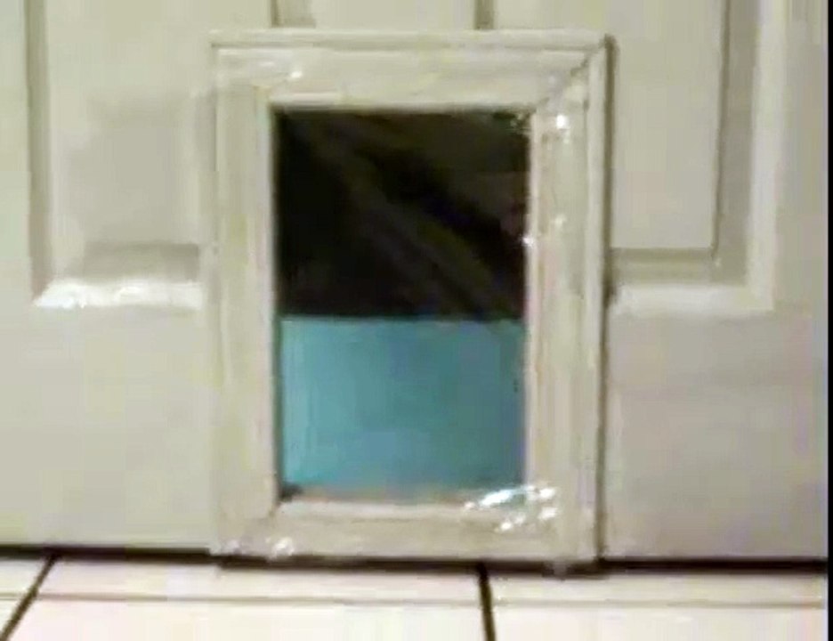 Funny Kitten Prank