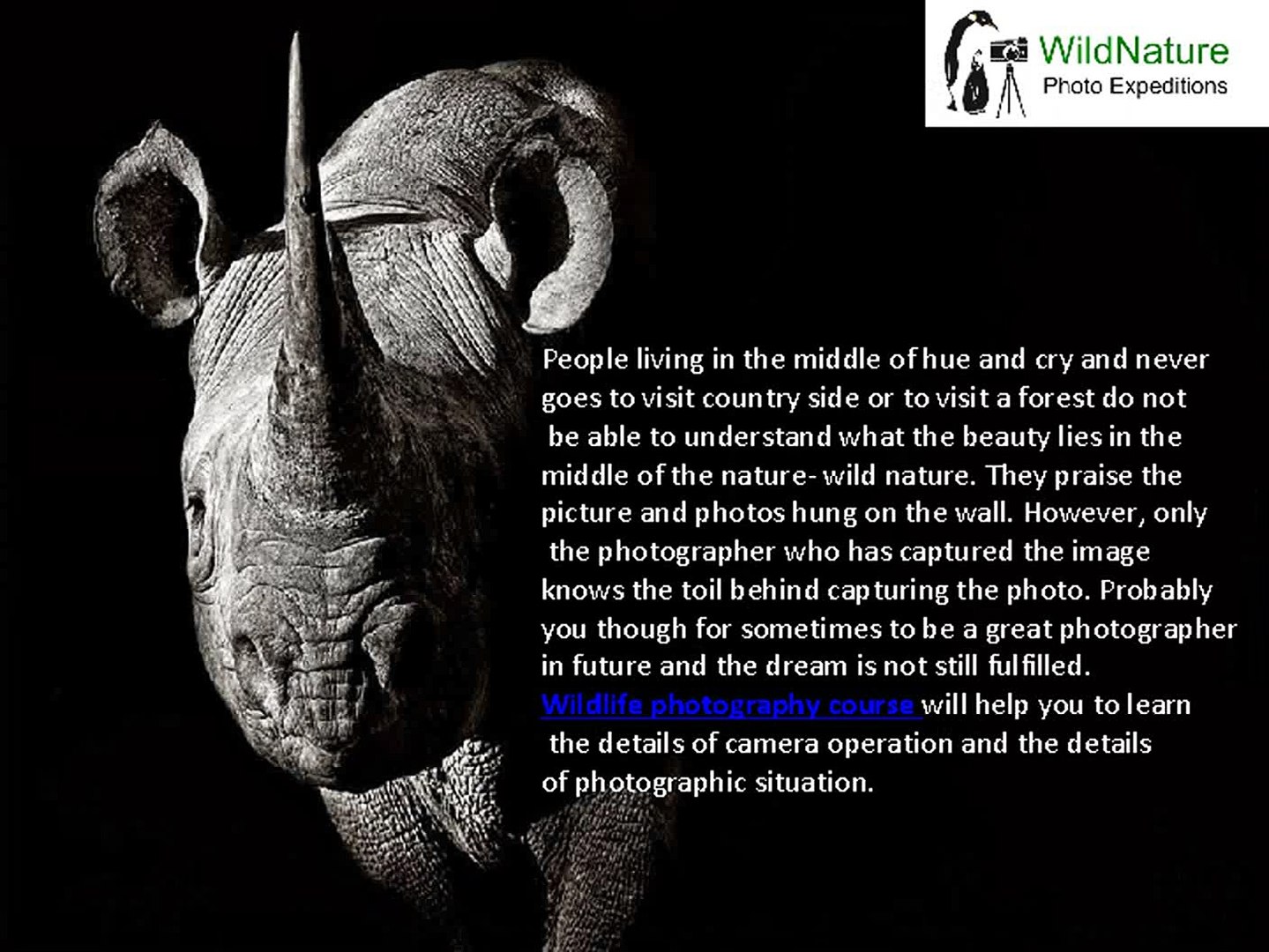 ⁣wildlife photography course| wildlife photography workshop