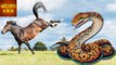 Horses are DEADLIER Than Snakes! | Weird Asia