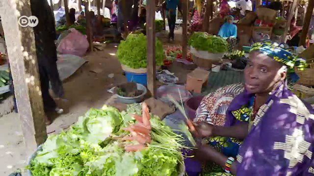 Kampf gegen Islamisten - Die Bundeswehr in Mali | DW Reporter