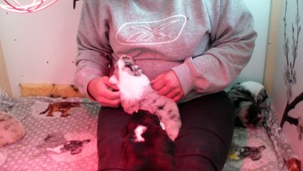 Rien de mieux qu'un bain de bébés