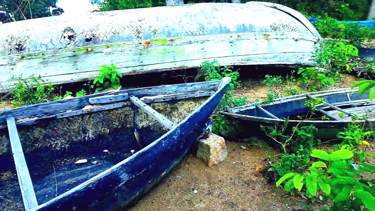 Trên vệ đường ngang qua Vũng Rô, Phú Yên
