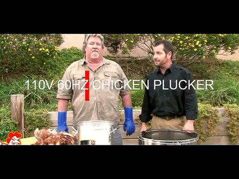 Chicken Plucking Machines
