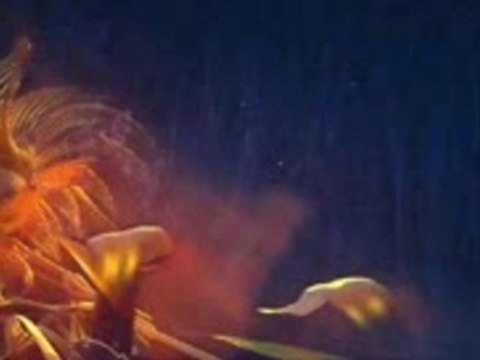 Winx Club Het Geheim van het Verloren Rijk Trailer