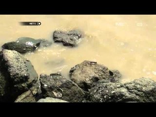 NET5-Nelayan Udang Rebon yang Menginspirasi