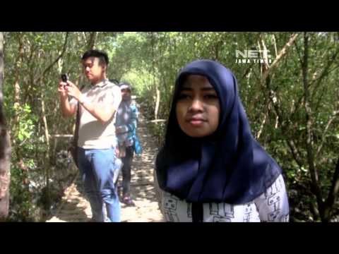 NET JATIM - Wisata Alam Hutan Mangrove di Surabaya