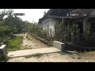 NET5-Budidaya Bonsai di Lamongan