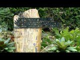 NET5-Destinasi Wisata Kebun Raya Bogor