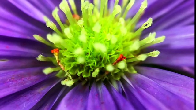 10 Inventos Tecnológicos que No Conocías