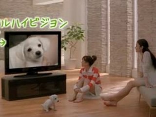 パナソニックビエラにリンク!