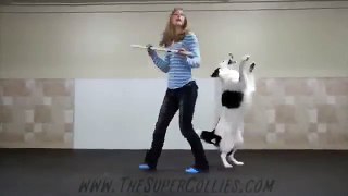 Танцевальный номер с собакой