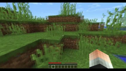 ASSISTA!! COMO INVOCAR O HEROBRINE NÃO PERCA ESSE VÍDEO