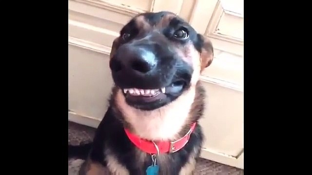 самые лучшие приколы Funny videos от xitosvalka 35