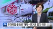 우여곡절 부산영화제 개막...영화의 바다에 풍덩 / YTN (Yes! Top News)