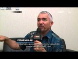 NET24 - Profile Cesar Millan