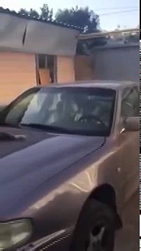 ПРИКОЛ КОТ СПИТ НА КАПОТЕ МАШИНЫ И НИЧЕГО НЕ ЗАМЕЧАЕТ СМОТРЕТЬ ВСЕМ ЯНВАРЬ 2016