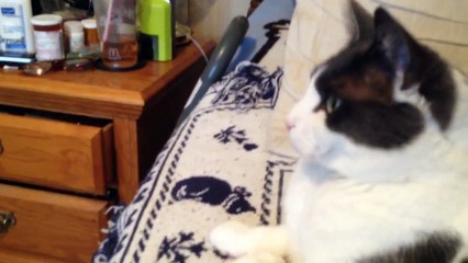 Paws Neck Exercising