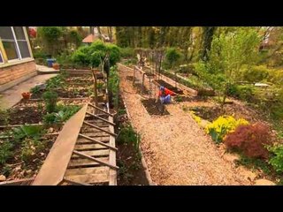 IMS - Tren Berkebun di Lahan Sempit