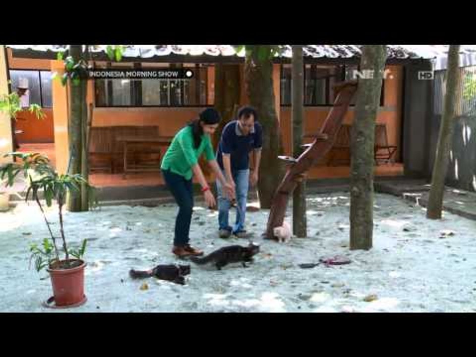 IMS Kucing Bisa Jadi Ladang Rezeki