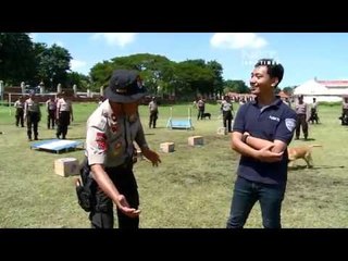 NET JATIM - Melihat kepiawaian anjing pelacak