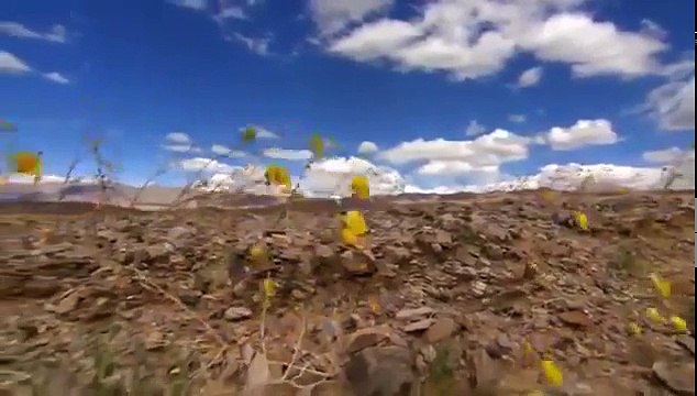 Best Documentary Death Valley California National Geographic Nature - FAISAL