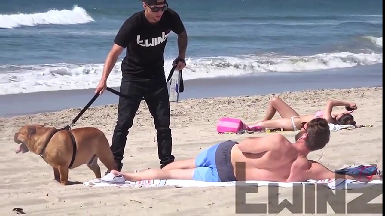 Dog Peeing on SEXY Girls Prank (Social Experiment) ♦ Pranks Gone Wrong ♦ Funny Videos 2015