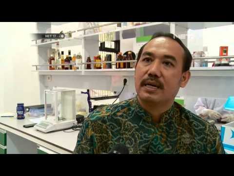 NET17 - MUI menyatakan Coklat Cadbury yang beredar di Indonesia tak mengandung babi