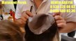 Tepelik Saç Tepe Protez Ankara Deri Görünümlü Matmazel Peruk'da Yapılıyor