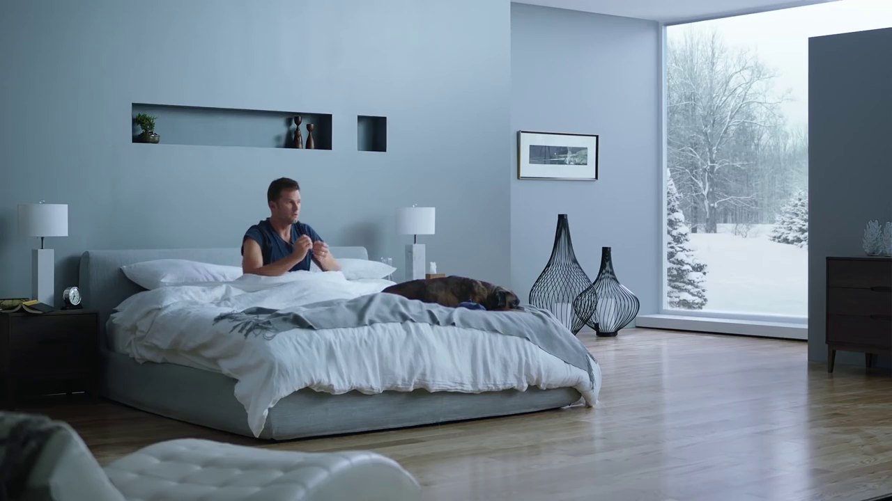 Les pubs du Superbowl 2017 - Brad Every Day Intel