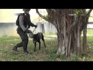 NET12 - Penembakan Mapolsek di Poso