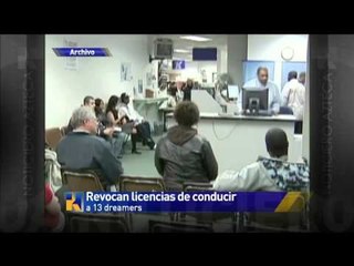 Revocan licencias de conducir a 13 "Dreamers"