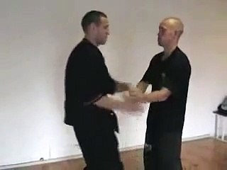 Techniques de Kenpo
