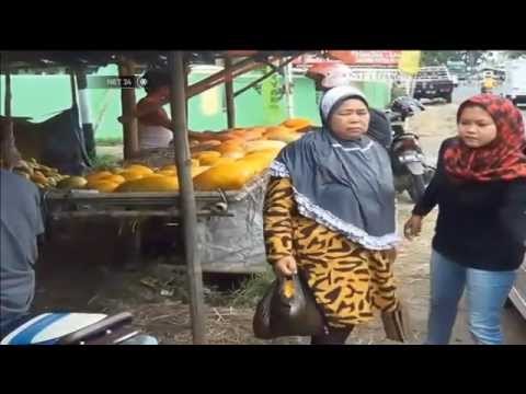 Ramadhan Bawa Berkah Bagi Produsen Cincau dan Petani Timun Suri -NET24