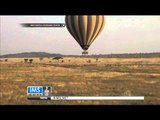 Nikmati sensasi alam liar melalui balon udara - IMS